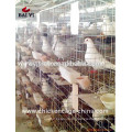 High quality and best price pigeon cage/pigeon racing /pigeon breeding cage